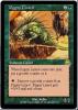 Pygmy Lizard